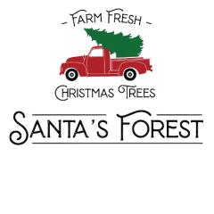 Santa's Forest christmas trees
