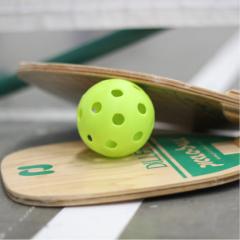 pickleball raquets