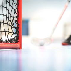 ball hockey and net
