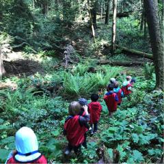kids walking in a green forest