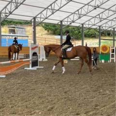horseback riding