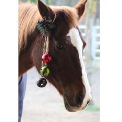 Image of chestnut horse wearing jingle bells on its ear.