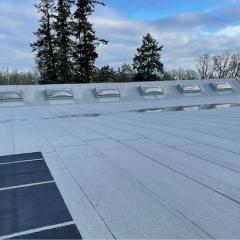 New roof and skylights with blue sky and trees in the background