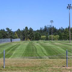 Green grass fields with chain link fence in foreground